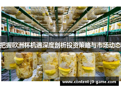 把握欧洲杯机遇深度剖析投资策略与市场动态 把握欧洲杯机遇深度剖析投资策略与市场动态