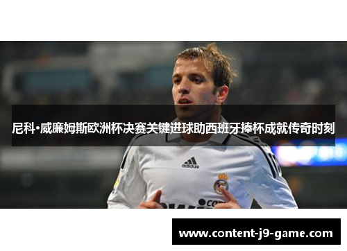 尼科·威廉姆斯欧洲杯决赛关键进球助西班牙捧杯成就传奇时刻